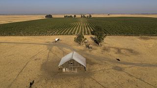 Multimillonarios e inversores de Silicon Valley están detrás de una operación secreta de compra de terrenos de más de 202 km2 para construir una nueva ciudad.
