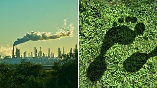25 años después, algunos investigadores se muestran reacios a utilizar el término huella de carbono