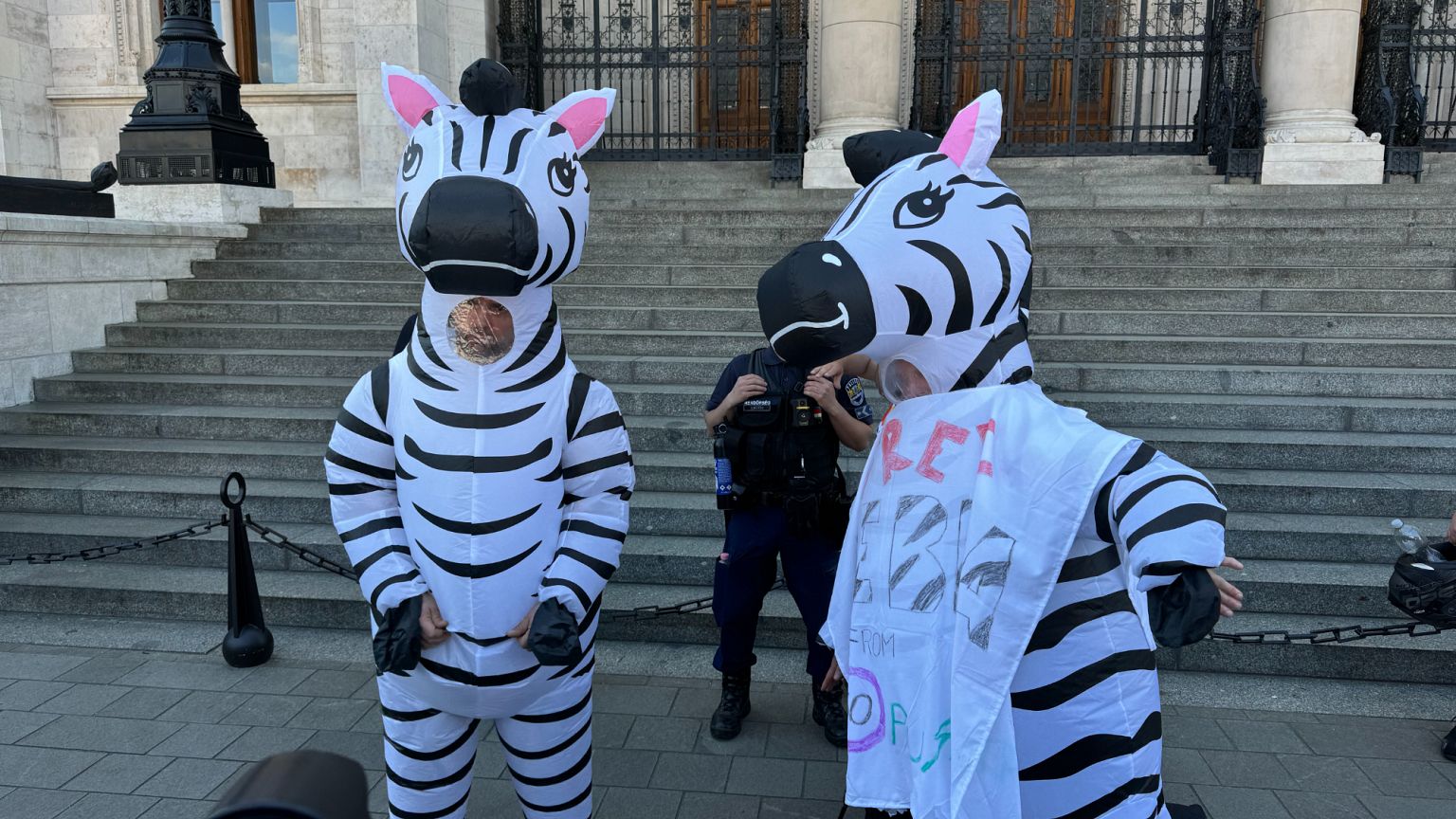 Zebrák a parlament előtt