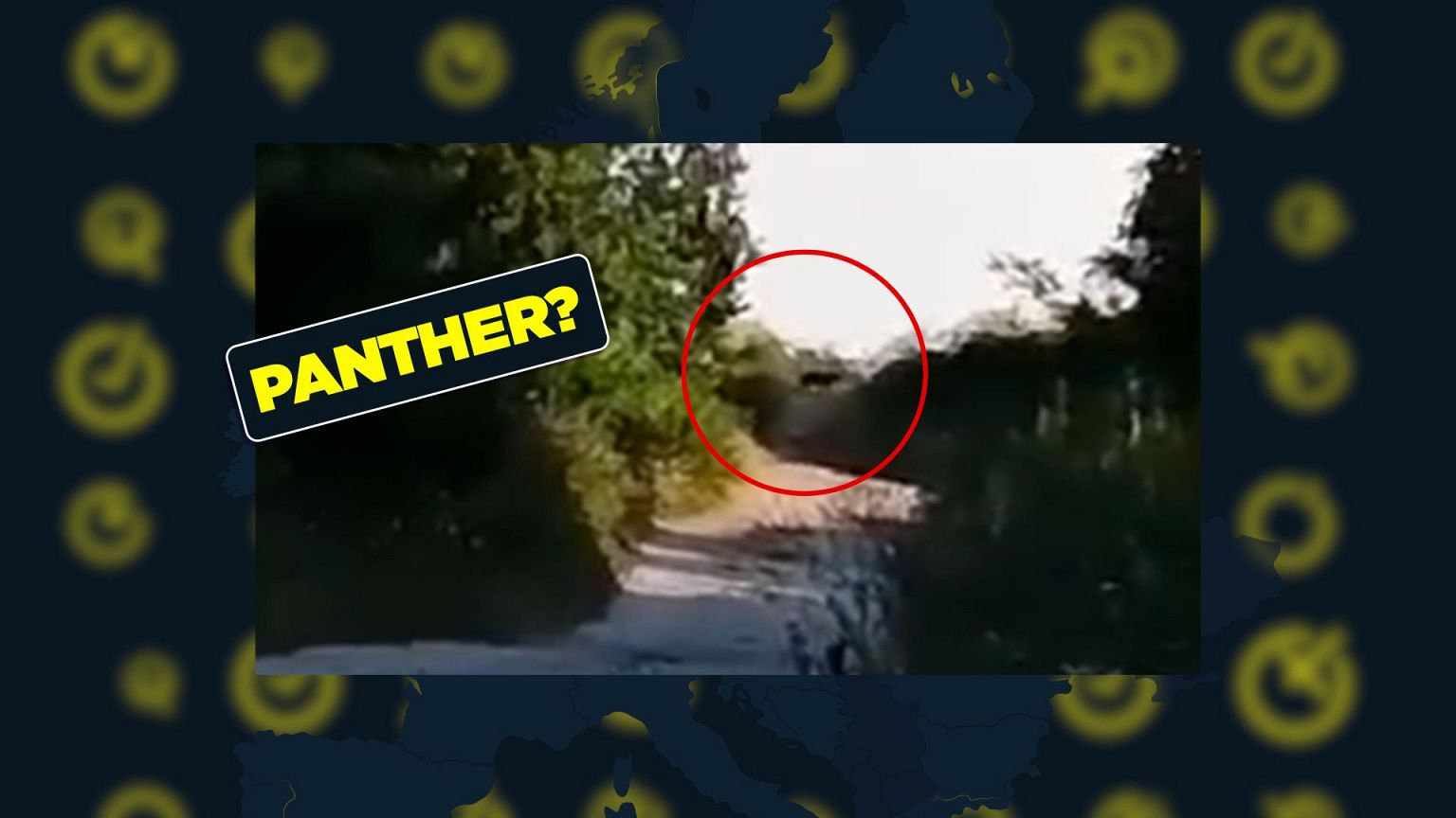 En Bulgaria se ha avistado una pantera