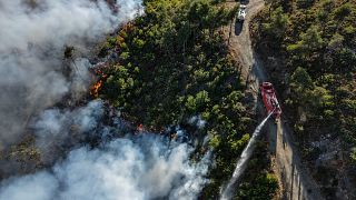 Los incendios estivales son habituales en la región del Mediterráneo oriental, donde los expertos advierten de que el cambio climático está agravando la situación.